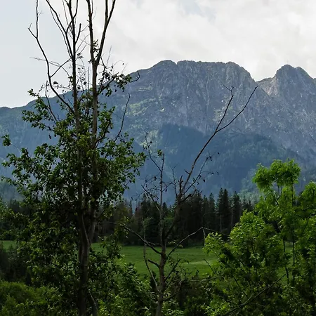 Apartamenty Bachledzki Wierch Zakopane Exterior photo