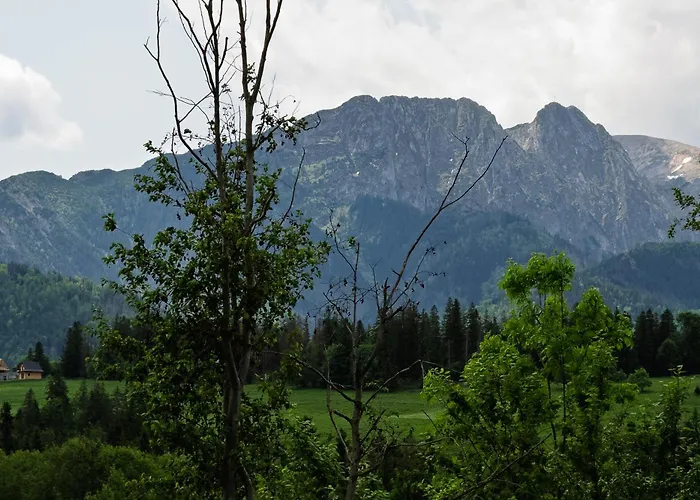 Apartamenty Bachledzki Wierch Zakopane