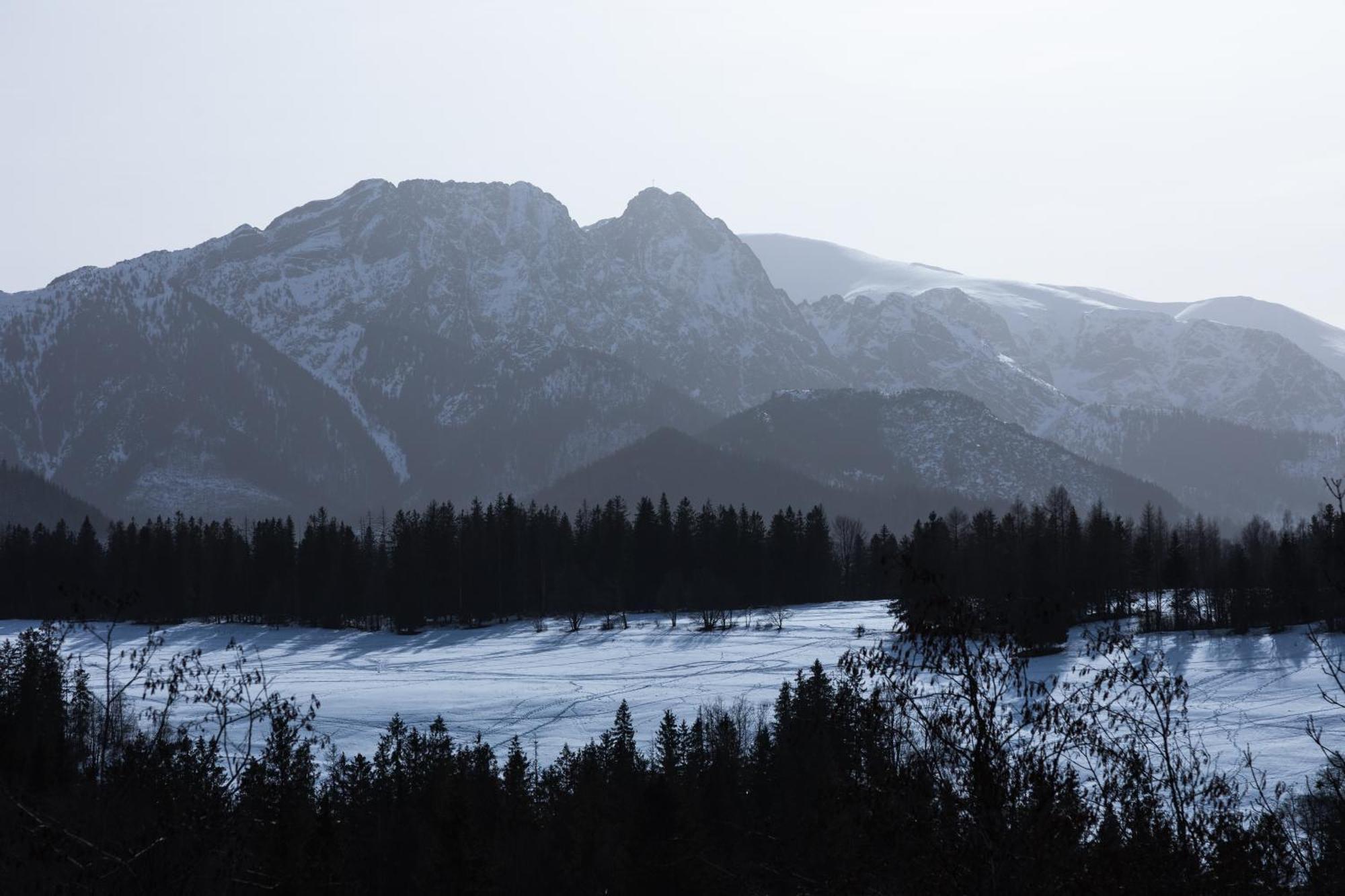 Bachledzki Wierch Apartment Zakopane