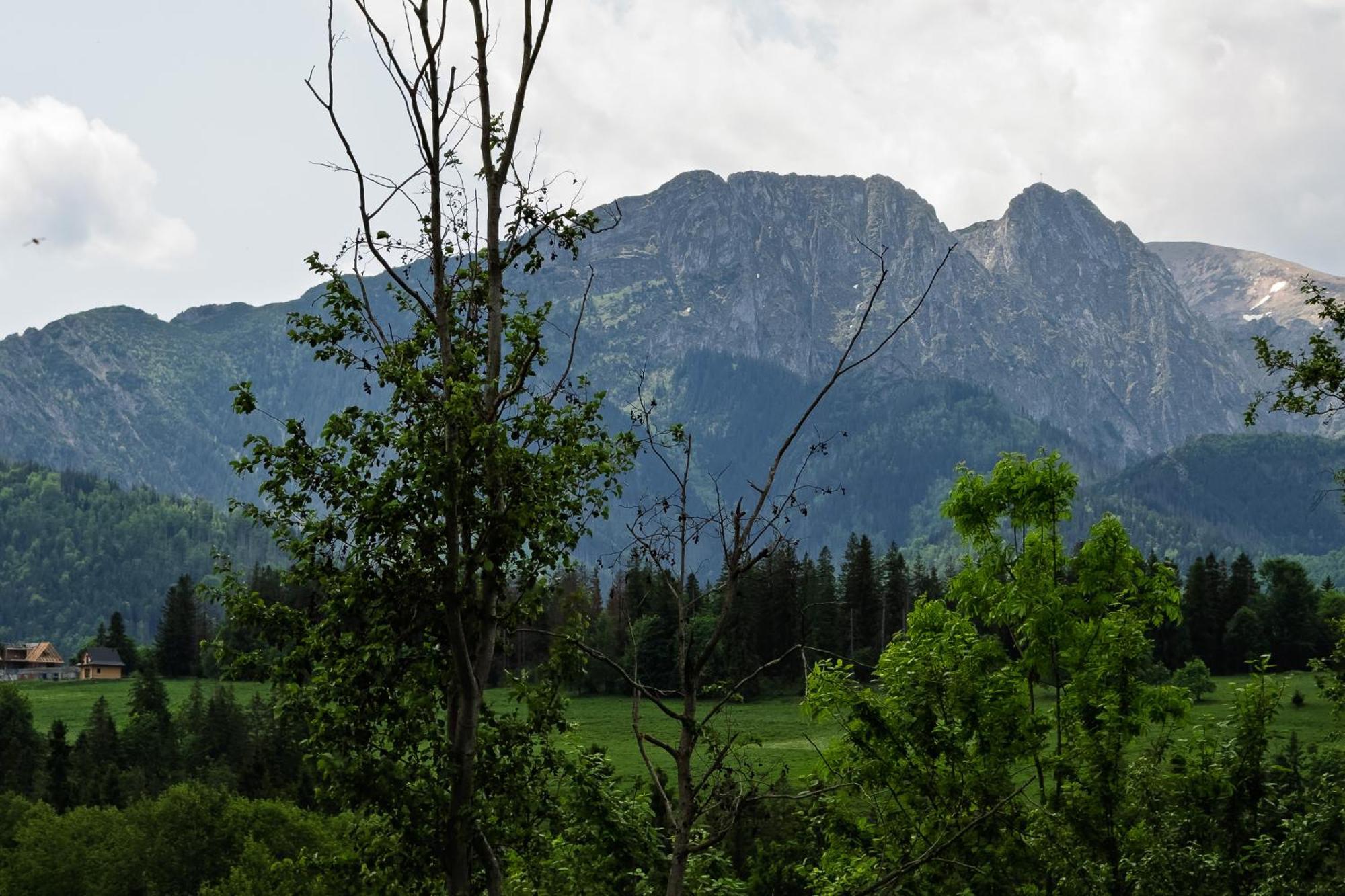 Bachledzki Wierch